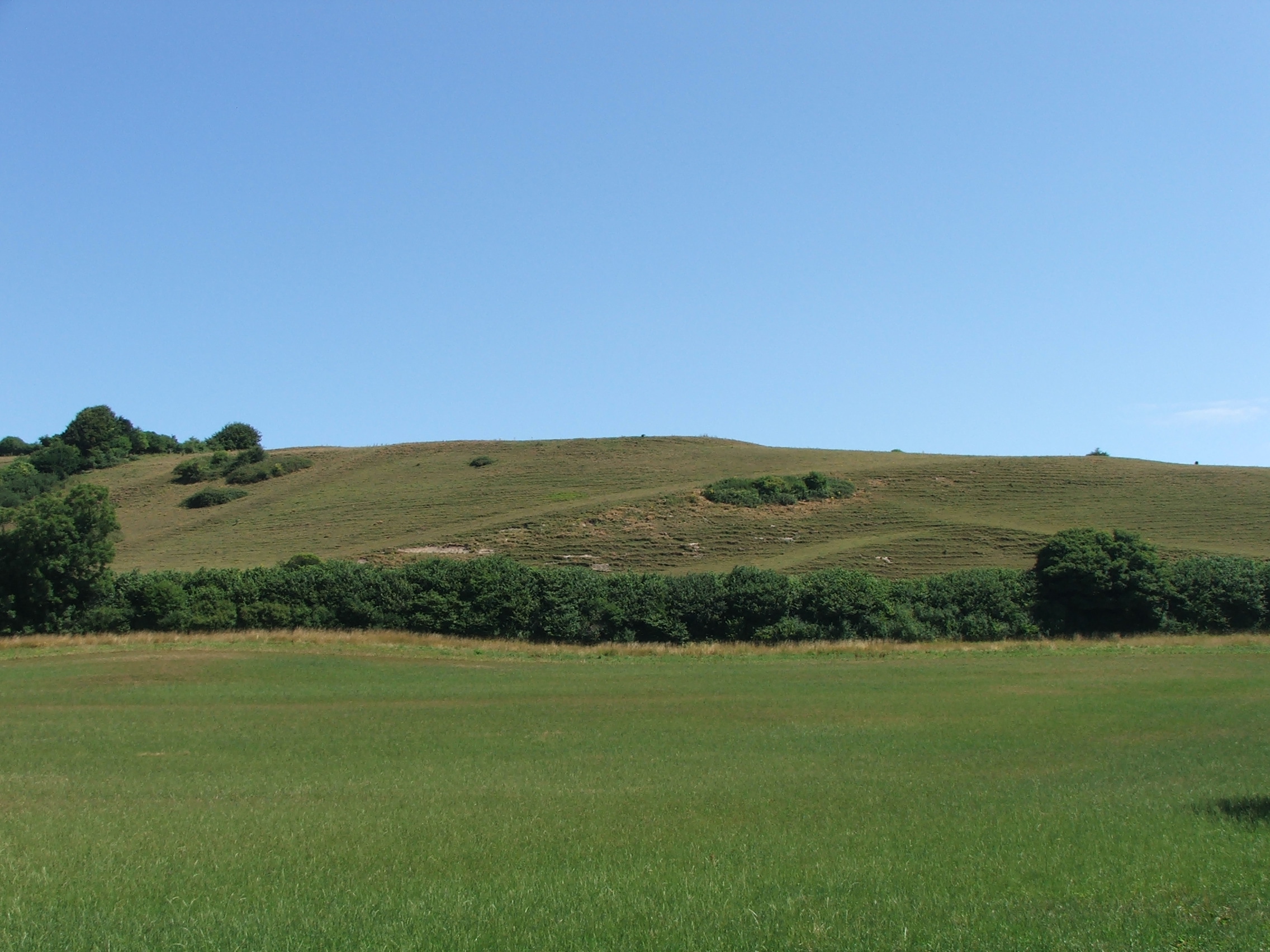 Post medieval chalk pit, Sherrins Hill, Sydling St Nicholas